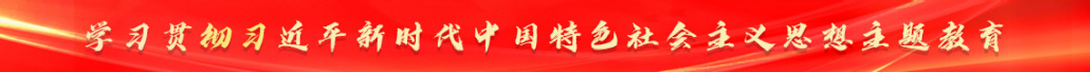 学习贯彻习近平新时代中国特色社会主义思想主题教育