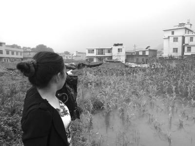 贵阳部分村庄为骗取拆迁款逾半数村民假离婚