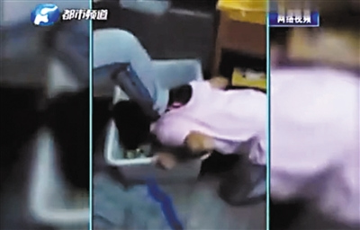 两周九起校园暴力:“霸王花”打人多被批评教育